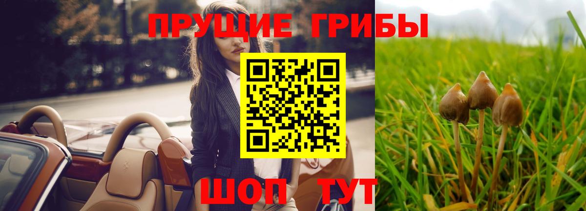 Галлюциногенные грибы GOLDEN TEACHER  Вход с VPN  Воркута  сколько стоит  Галлюциногенные грибы Psilocybine cubensis 